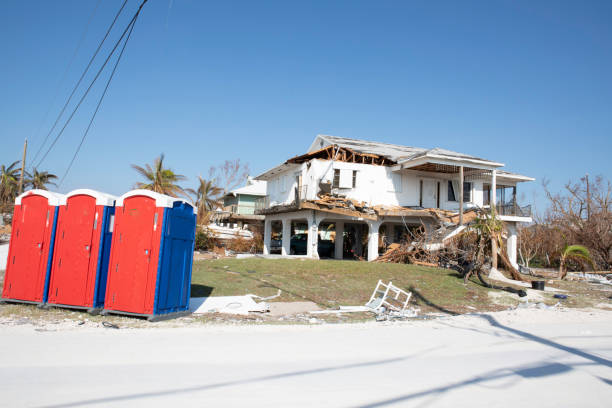 Best Emergency Tree Removal  in Detroit Lakes, MN
